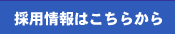 ̗p͂